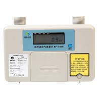 超聲波沼氣流量計(jì)BF-2000