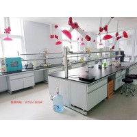 實(shí)驗(yàn)室家具 鋼木實(shí)驗(yàn)臺(tái) 鋼木邊臺(tái) 鋼木中央臺(tái) 鋼木結(jié)構(gòu)可定制